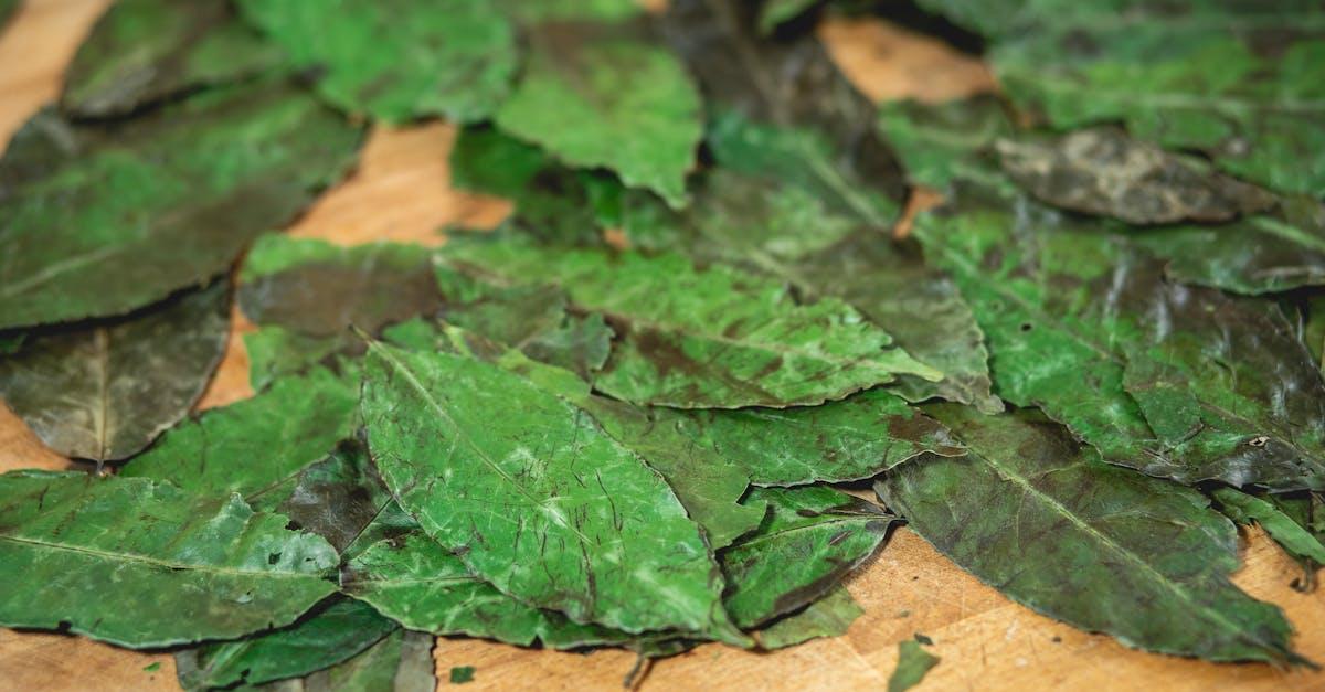 Zielona moc na talerzu: jak sprytnie włączyć ekstrakt z zielonej kawy bogaty w kwas chlorogenowy